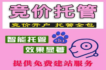 某科技公司通过百度推广引领行业创新发展